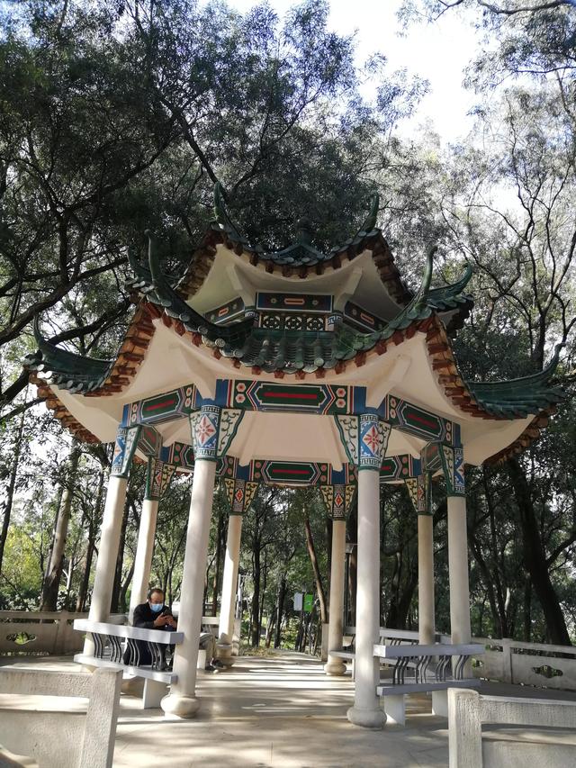 番禺化龙镇景区，快来pick你的“打卡点”吧