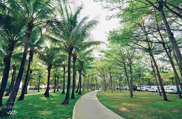 三亚旅游攻略及费用，三亚超详细旅游攻略