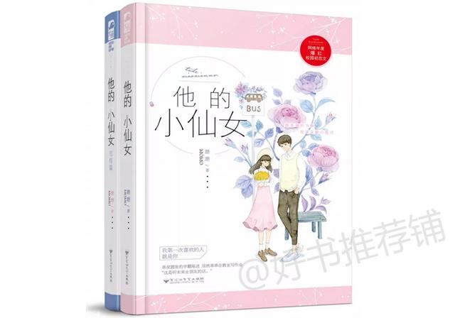 从校服到婚纱双学霸甜宠文双男主，4本男女主双学霸文