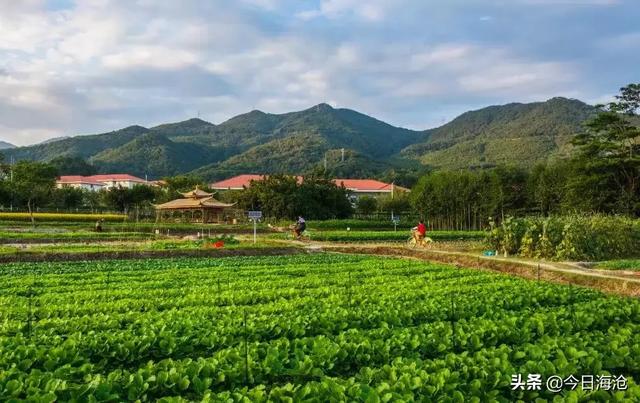 厦门咖啡一条街，厦门环东海域滨海旅游浪漫线（来厦门，必打卡的六个景点）