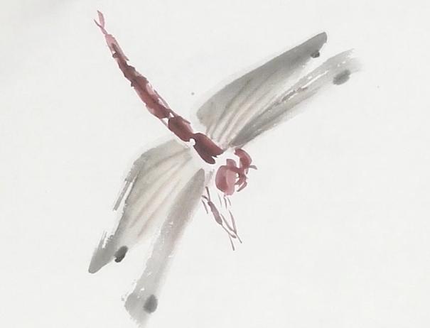 国画简单蓝蜻蜓的画法，画点荷花和蜻蜓给这个夏天降降暑