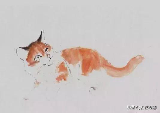 100种小猫怎么画，100种画真猫的画法（教你在纸上养个主子）