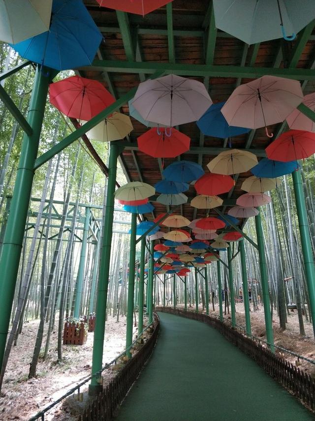 宜兴旅游攻略自助游推荐，满意的宜兴深度游