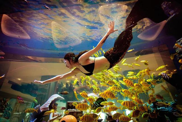 昆明梦幻联邦乐园什么值得玩，昆明周边惊现世界奇迹上的欢乐王国