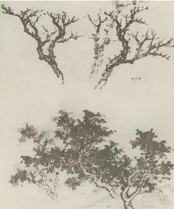 树怎么画简单又好看，如何画树简单又漂亮（水彩唯美风景画，手把手教你画）