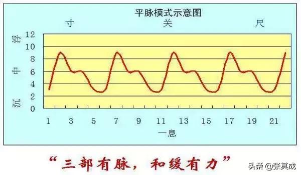 怎样辨别27种脉象，辨别八种重要脉象