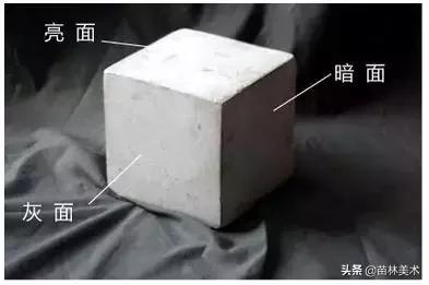 学画画零基础先学什么，零基础素描应该先练什么（零基础绘画教程，值得收藏）
