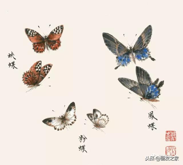 九尾狐最简单的画法教学，逐花之虫蝶蜂画法示范