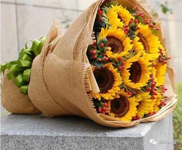 父亲节应该用什么花，推荐几款适合送给父亲的花