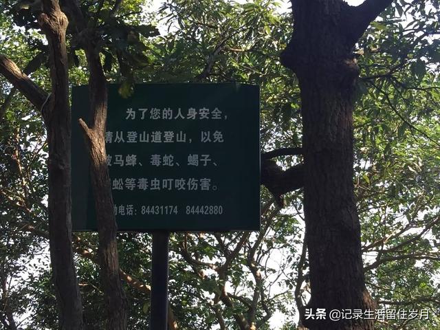 南京小众景点紫金山，登南京紫金山游记