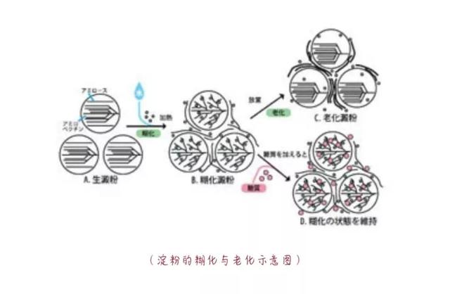 海藻糖是什么糖，正规海藻糖是什么糖