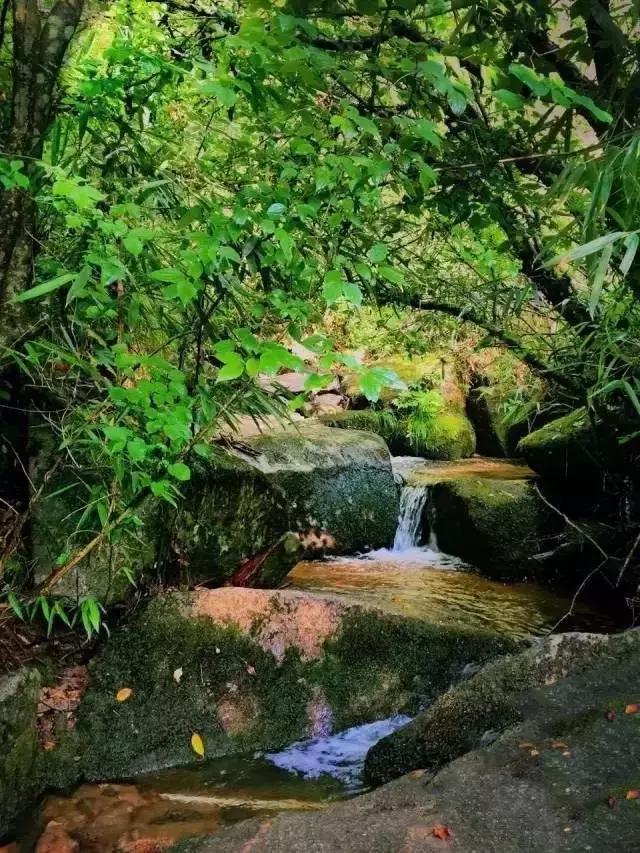 安康这几个地方才是今夏最适合避暑的清凉胜地，西安适合避暑好地方