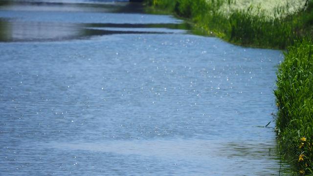 奥林巴斯em1，奥林巴斯em1mark3测评