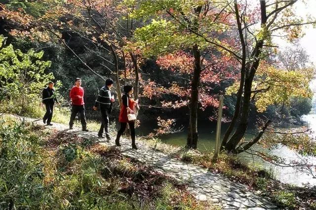 宁波有几个古道可以爬山的，宁波这11条登山健身步道你走过吗
