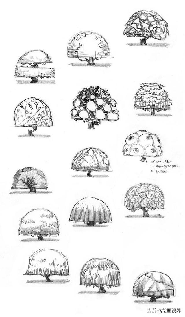 超级简单的植物线描图怎么画，手绘植物很难画