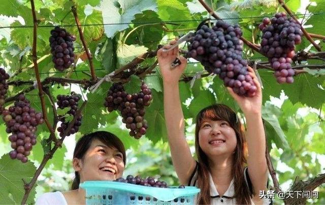 鲅鱼圈旅游攻略，鲅鱼圈旅游必去景点推荐