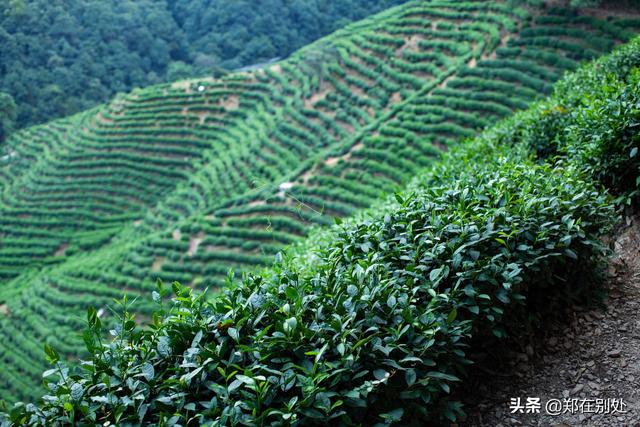 杭州冷门爬山路线，杭州登山路线08最好在这里