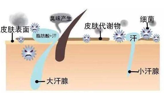 有必要做腋臭手术吗男(腋臭手术有没有必要做)