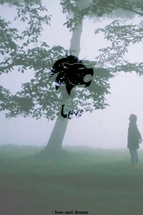 水瓶座专属英文名，12星座最适宜的英文名来了