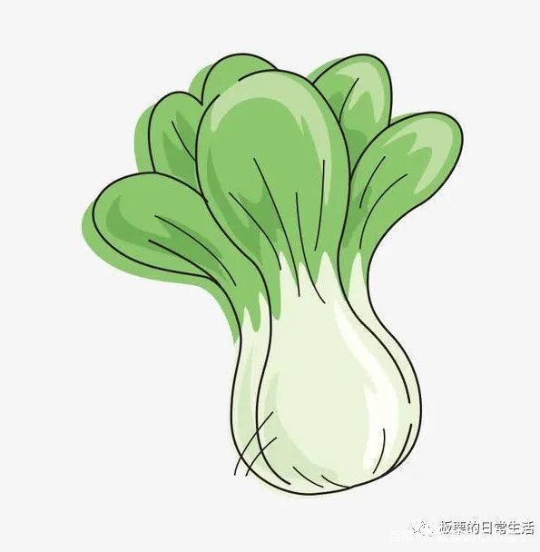 生活必备的5个冷知识你都知道了吗，这五个日常出行必备的冷知识你知道吗