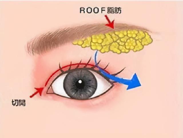 为什么要叫白金眼霜，千呼万唤的眼霜盘点来啦