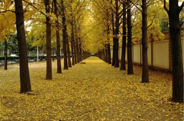 北京步行街必去景点，来北京旅游必逛的十条经典文艺路