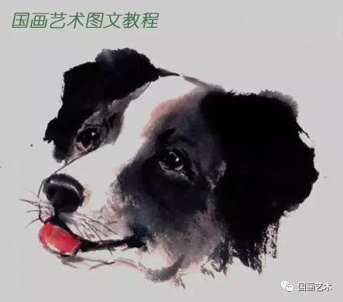 不同品种狗的画法，狗画法美观