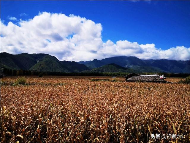 泸沽湖详细介绍，那些藏在春日里的诗意美景
