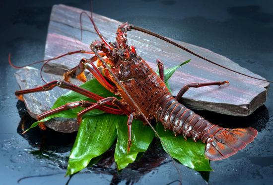 日式料理虾刺身，日本有名的刺身，你喜欢哪一个