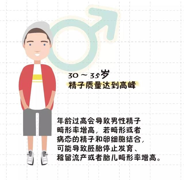 猫的生育常识和技巧，最全的入门级生育指南