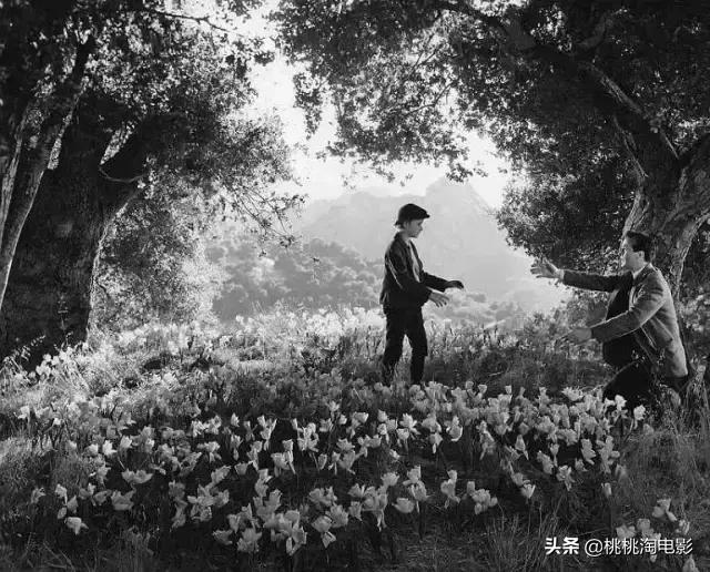 最值得看的电影，100部最值得看的电影名单（16部补充心灵能量的高分电影）