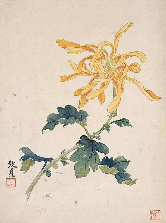 国画芙蓉花图精品欣赏，十大名花十首诗词