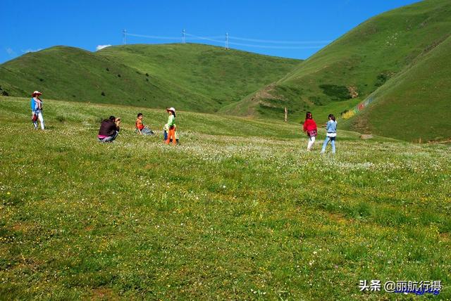 新都桥草原风景，新都桥—塔公草原—雅砻江河谷——迷人的夏季风光