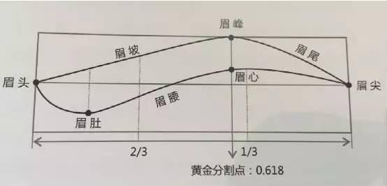 眉毛有几种眉型，常见的六种眉型（圆脸、方脸、鹅蛋脸、菱形脸…你的眉毛选对了吗）