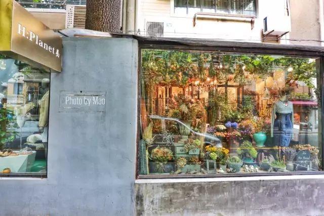 上海最好玩的地方，上海必须去玩的地方有哪些（去上海十个必打卡地）