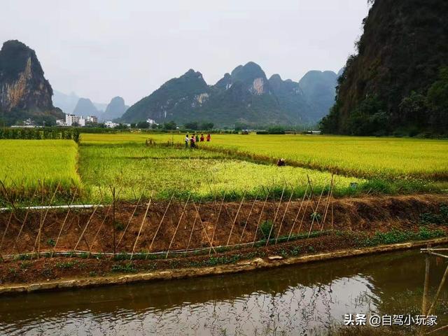 春节去广东旅游有哪些好去处，春节去哪玩最爽