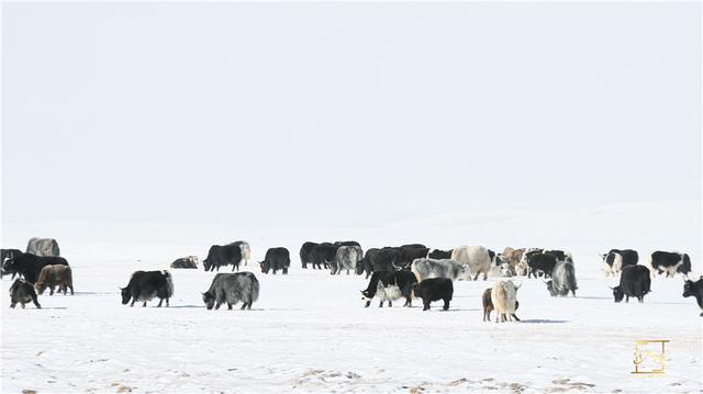 赤马湖冰雪奇幻之旅，浏阳艾瑞克冰雪乐园全新启航