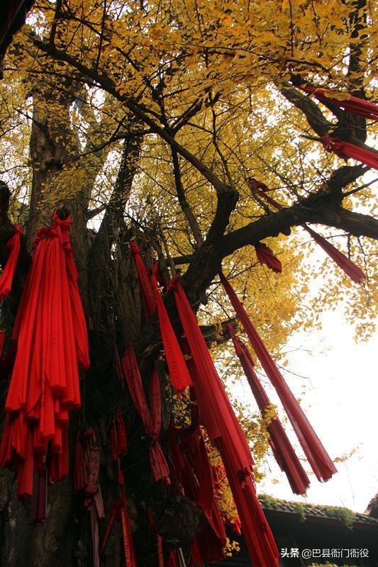 青城山一天旅游攻略图文并茂，青城山\u0026都江堰一日游超全攻略