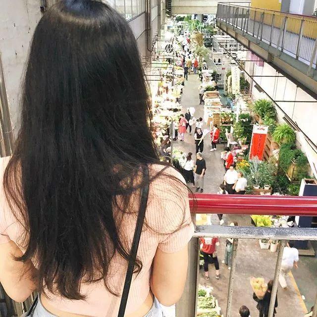 世界第一大花市，美爆了的全球9大花市