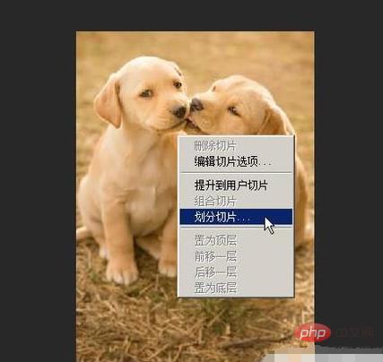 ps如何导出切片，ps切片怎么导出（ps如何将切片分别导出）