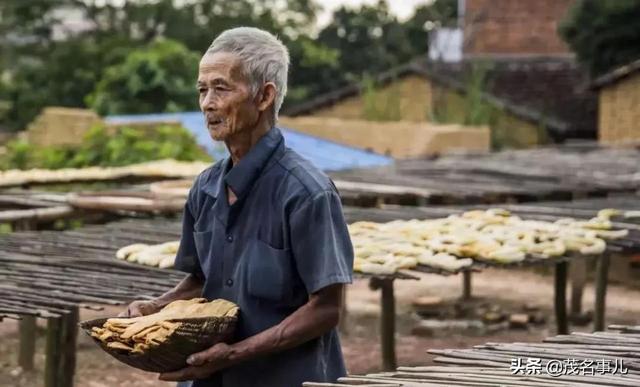 化州在哪里呀，你好化州