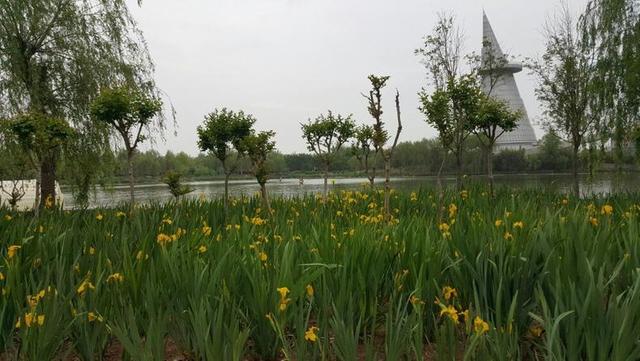 郑州好玩的景点排行榜，郑州旅游十大必游景点排名