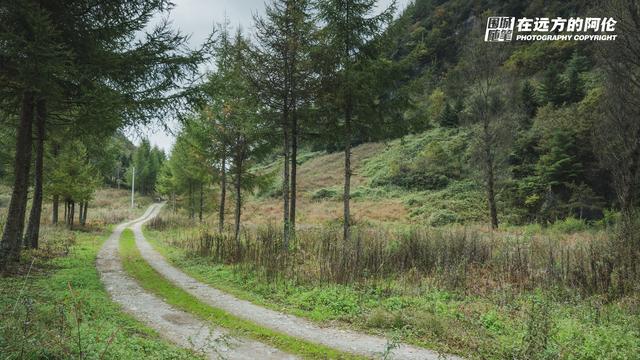 重庆环线自驾游最佳线路，5天打卡4座县城7个景点