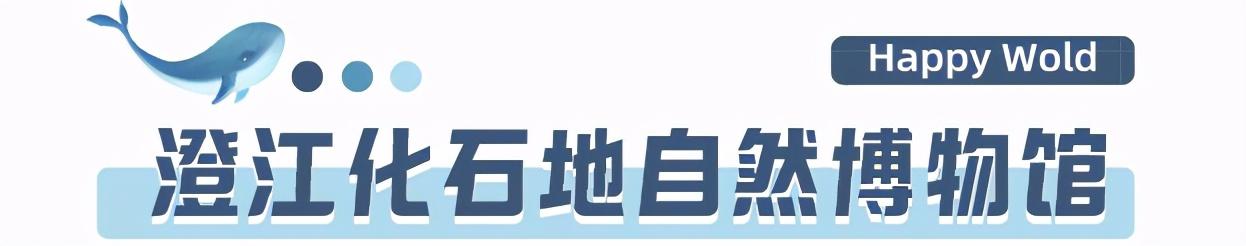 昆明梦幻联邦乐园什么值得玩，昆明周边惊现世界奇迹上的欢乐王国