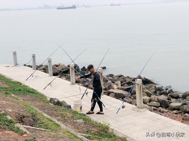 广州自驾露营有哪些地方，广州这5个地方真是绝了