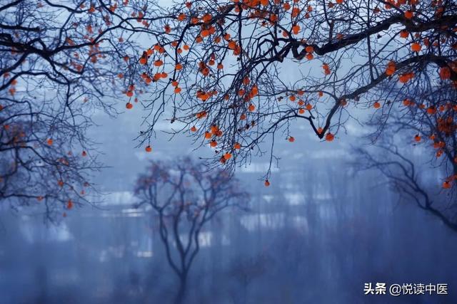 糖尿病可以吃天麻(糖尿病可以吃蚕蛹吗 百科)