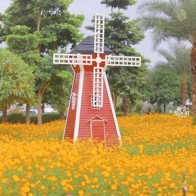 南宁附近花海景点推荐，南宁这几处花海，美了