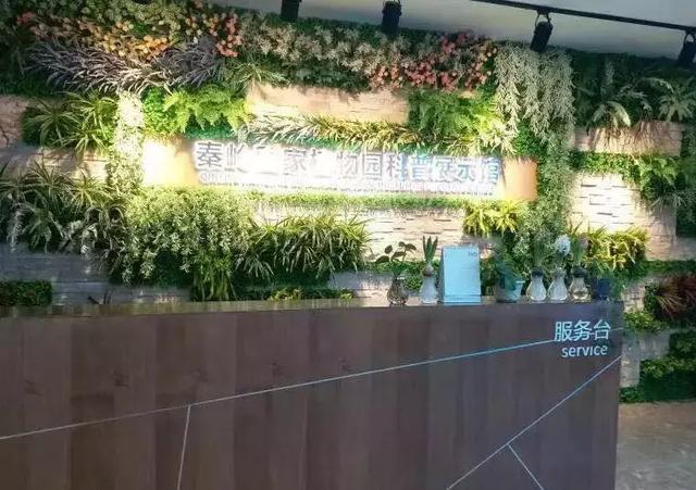 西安有什么好玩的地方，西安有什么好玩的好吃的地方（这20个免费景点你绝不能错过）