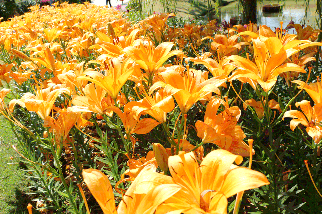 金坛茅山景点介绍，金坛茅山人气爆棚