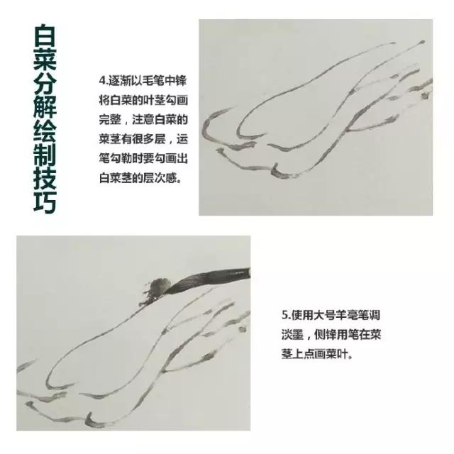 水墨画白菜的画法步骤，写意蔬果入门画法之白菜、辣椒的画法步骤